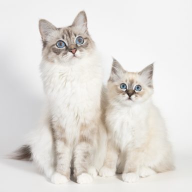 Hazel & Mama