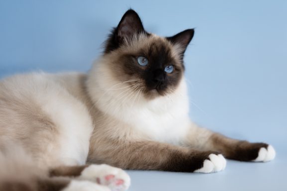 George